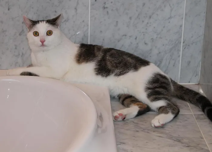 Haralds Bad Kleinkirchheim